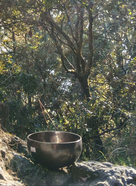 Dark Chocolate Full Moon Singing Bowl