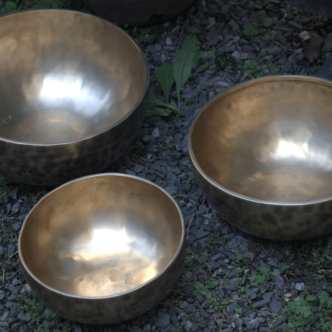 Three metallic bowls on a ground surface with grass and leaves.