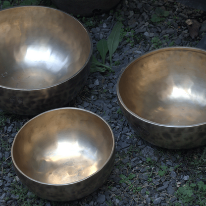 Three metallic bowls on a ground surface with grass and leaves.