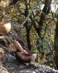 Dark Chocolate Full Moon Singing Bowl