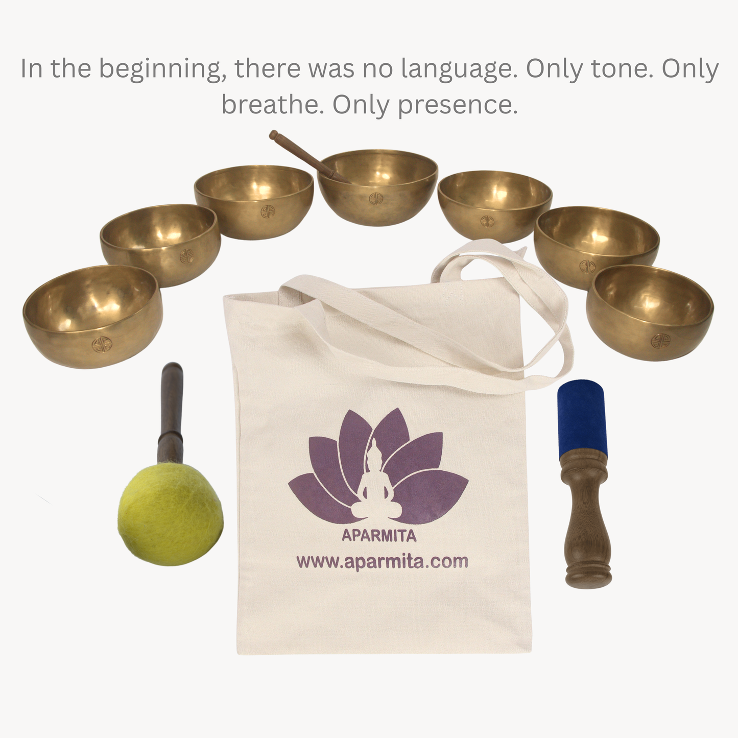 Chakra Set Singing Bowl