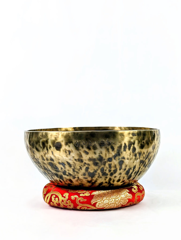Full Moon Singing Bowl (25cm–30cm)  – Tight Light Edition
